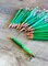 St Patricks Day, Jungle Animals, and Tropical Green Flowers Themed Box Of Planner Stickers & Accessories (#SUB2021003)
